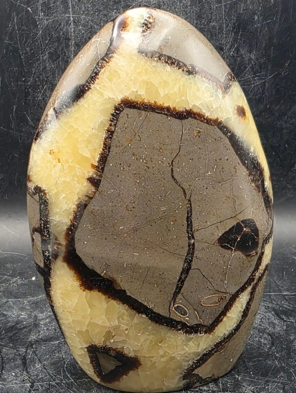 LARGE Septarian Dragon Egg Freeform Statement Piece NEW 5" 2.5lbs AAA Crystal